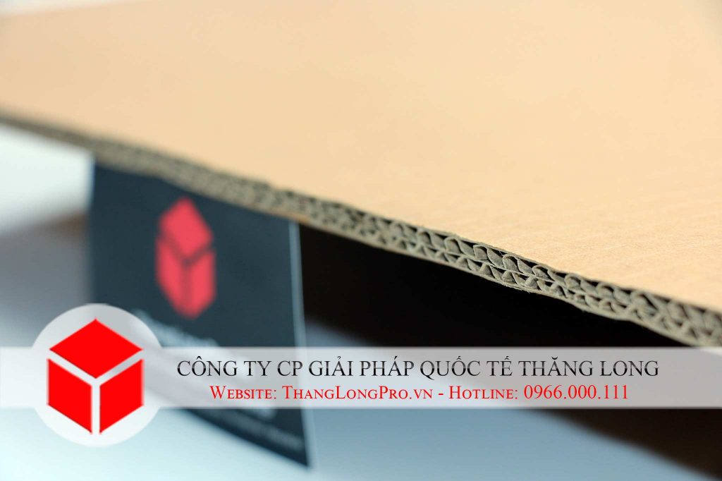 Thùng carton 1