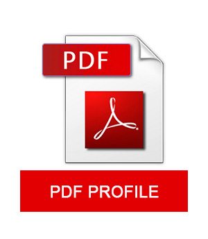 Hồ sơ giới thiệu định dạng PDF